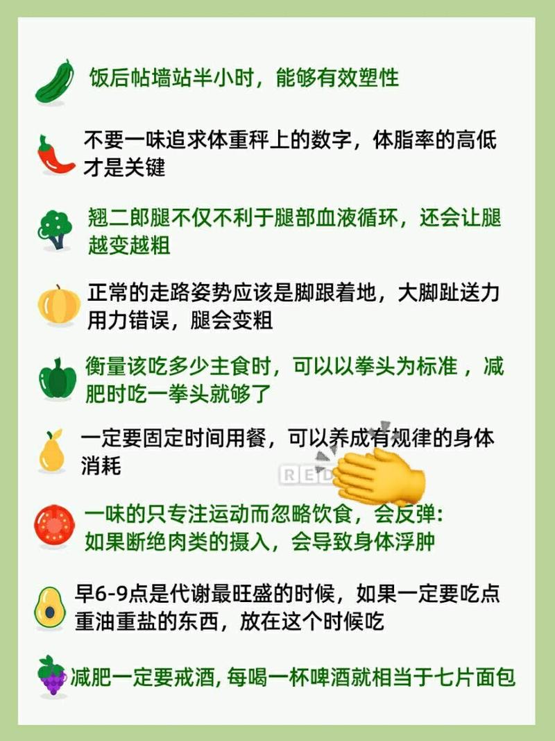 健康减肥餐食谱大全