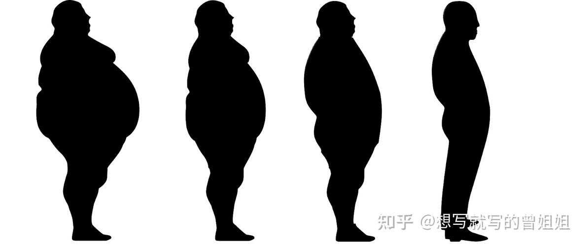 河南超重比例居第四，专家三招辨肥胖