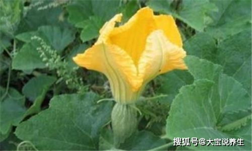 腿部按摩哪里活血