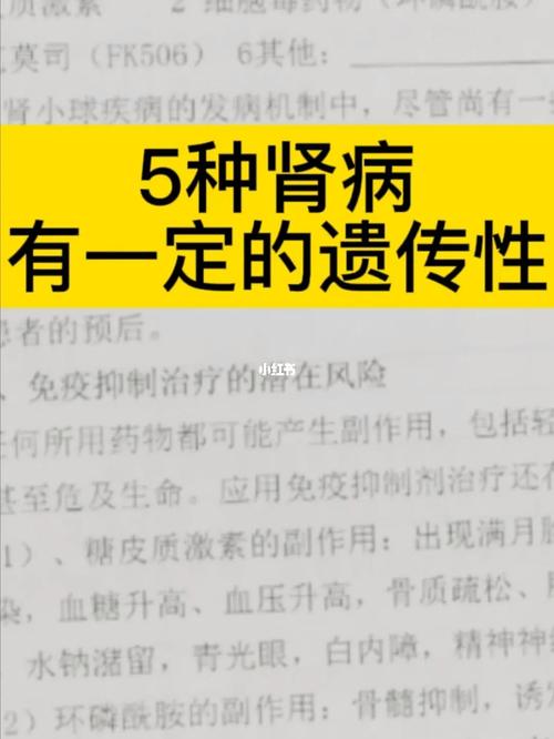 哪些肾病会遗传？早期诊断和预防进展尤为重要