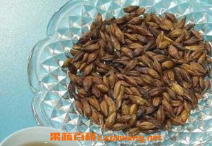 大麦茶健康饮品的多重功效与作用