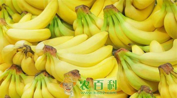 橡胶皮的作用与功效