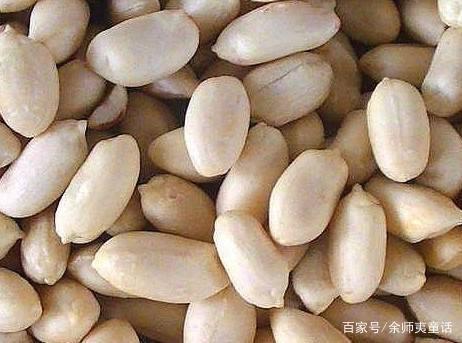 花生仁的功效与作用及食用方法