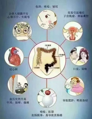 角色介绍