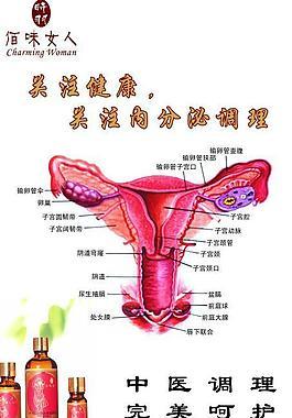 女性生理健康心得体会600字