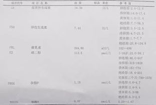 雌性激素六项检查多少钱