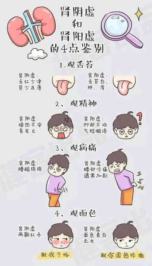 女性肾阳虚的主要症状