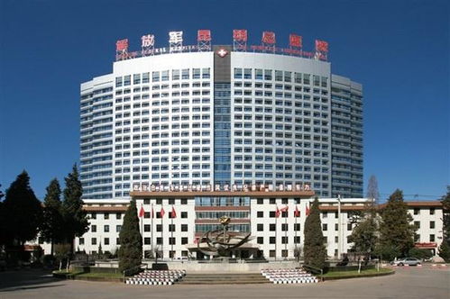 专业医护团队，技术精湛