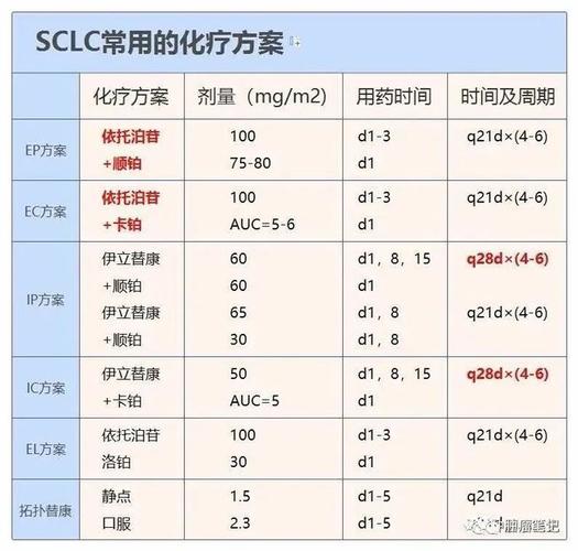 肺癌化疗方案依托泊苷加卡铂