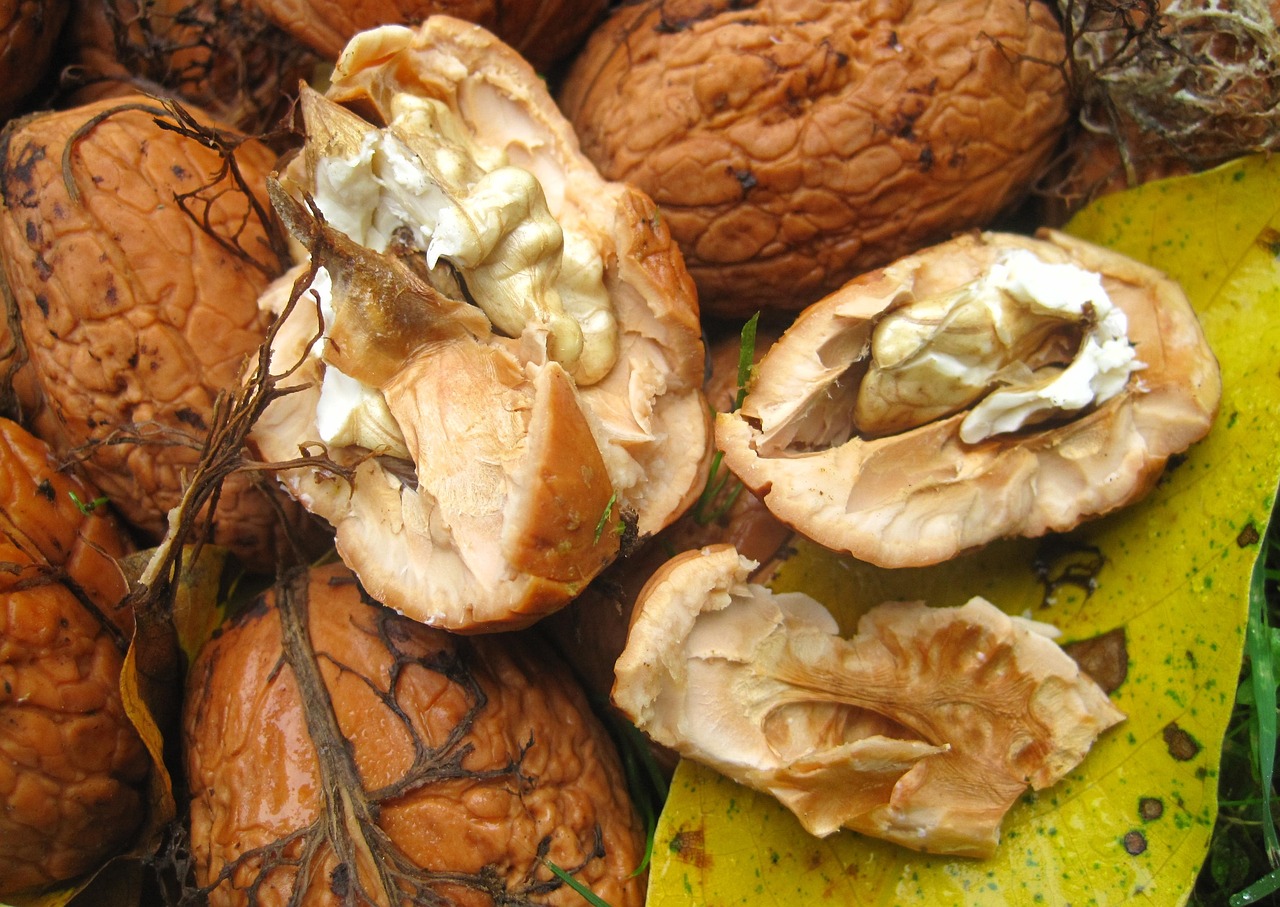 全面揭秘，过敏性鼻炎的饮食调护之道——科学食疗，远离鼻痒困扰