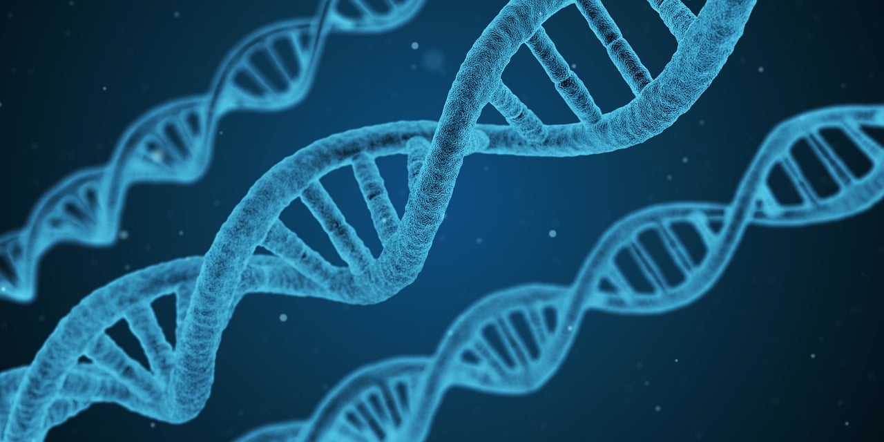 深度解析，高血压的生成机理与全方位预防策略