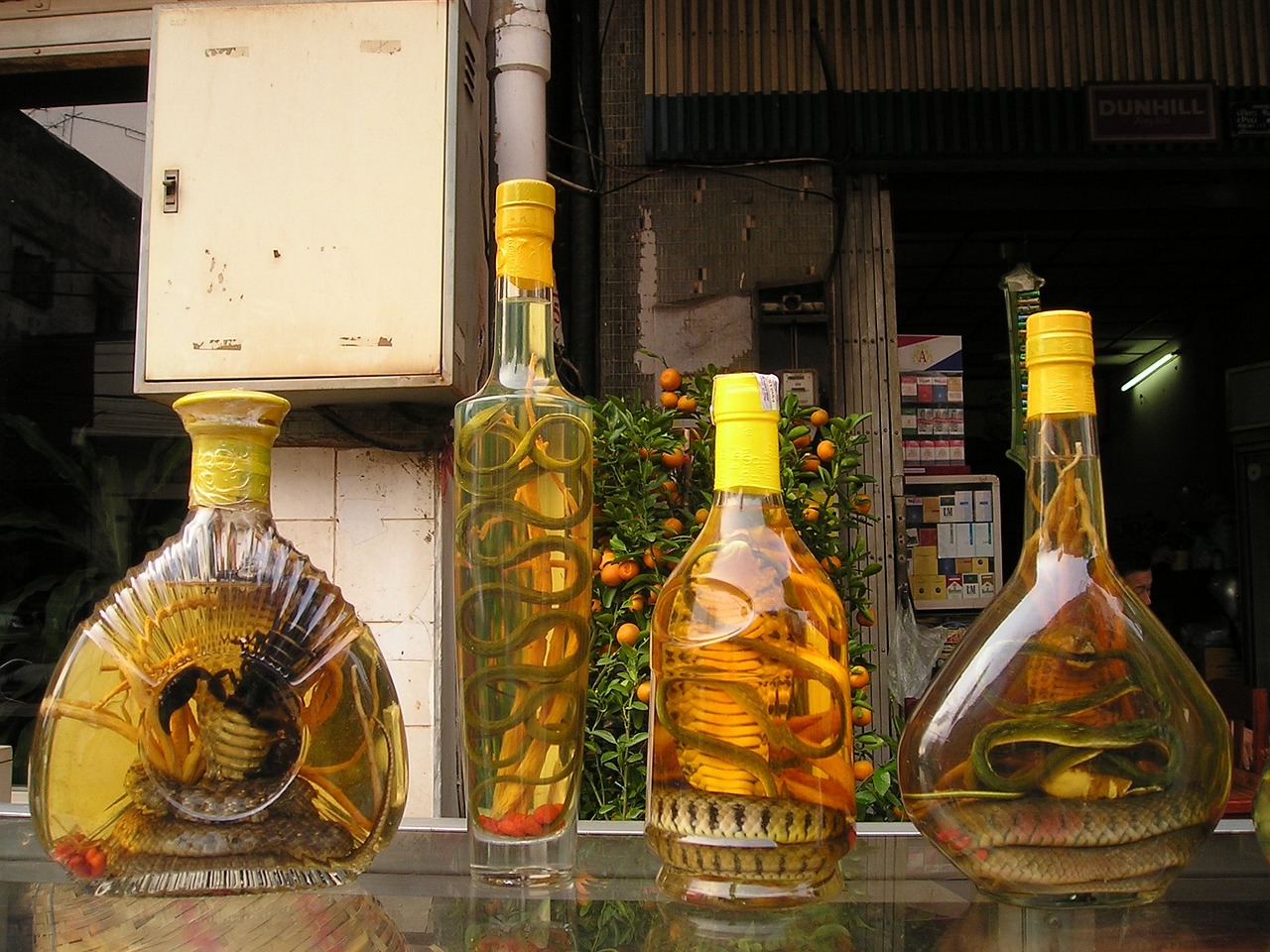 探析养生壶市场，探寻第一品牌的品质与价值之旅