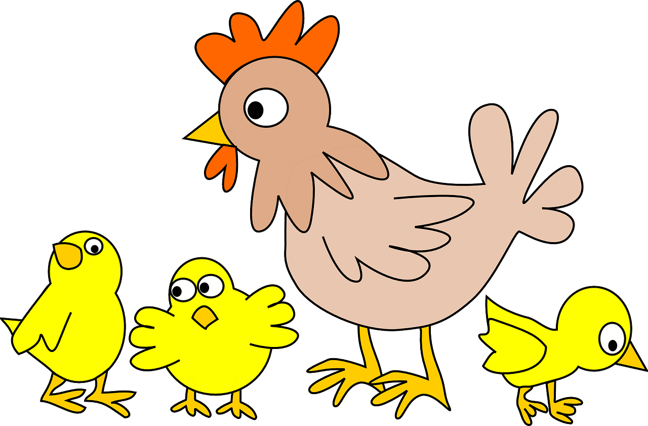 全面了解，H7N9禽流感的症状与防治指南