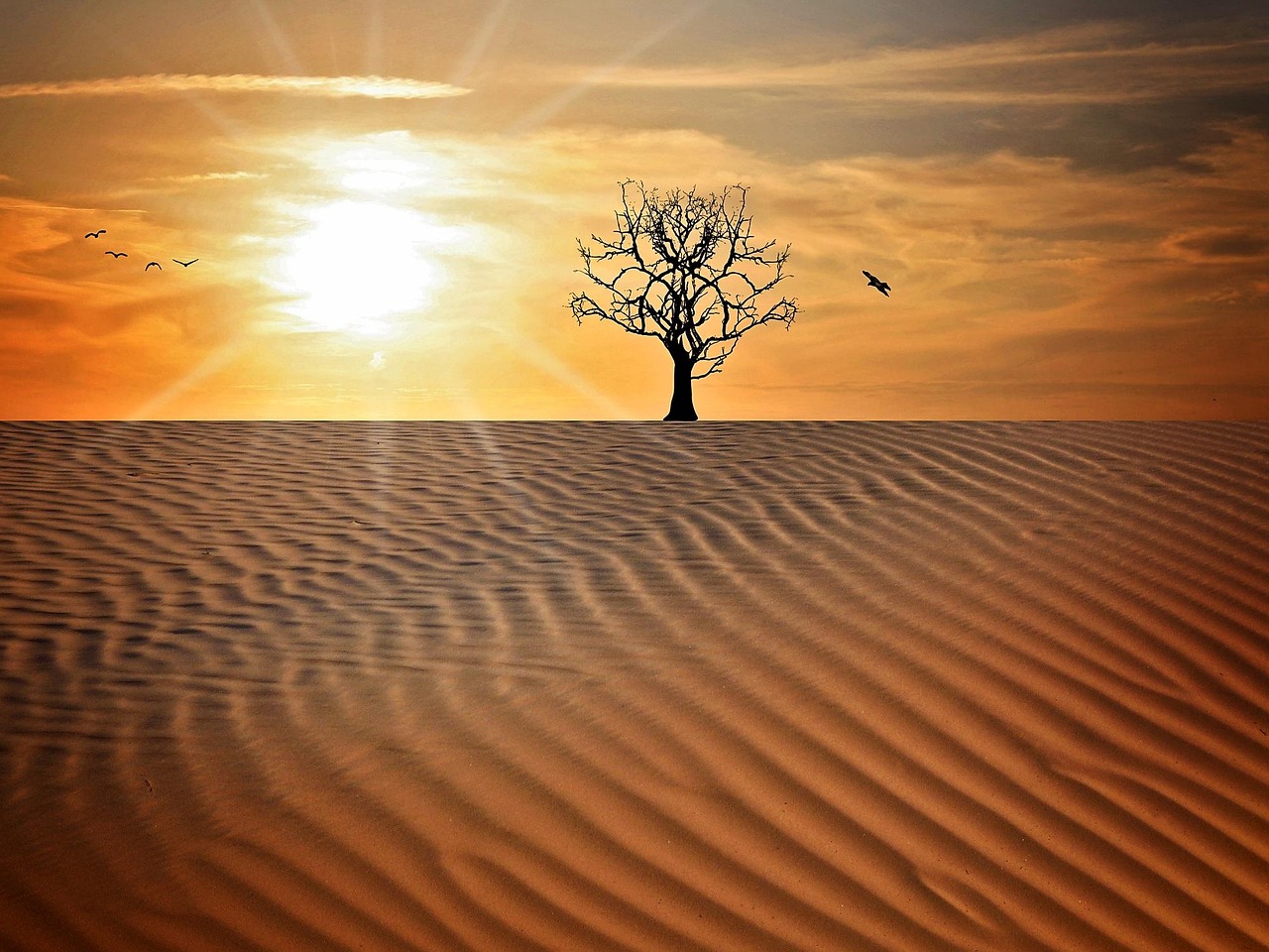 金色夕阳下的新养老模式，医养结合，让爱更贴心