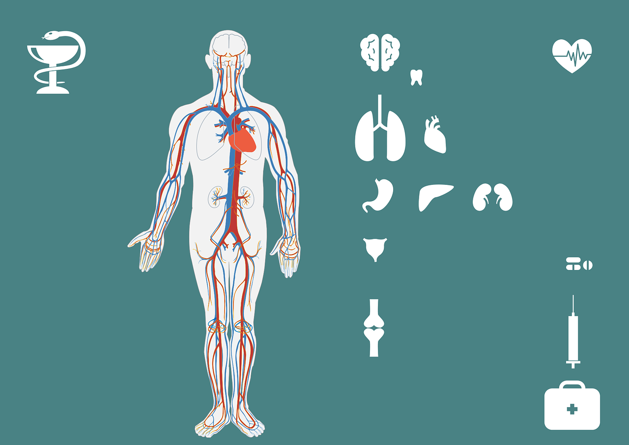 秋季养生，要点总结与反思，为健康加分