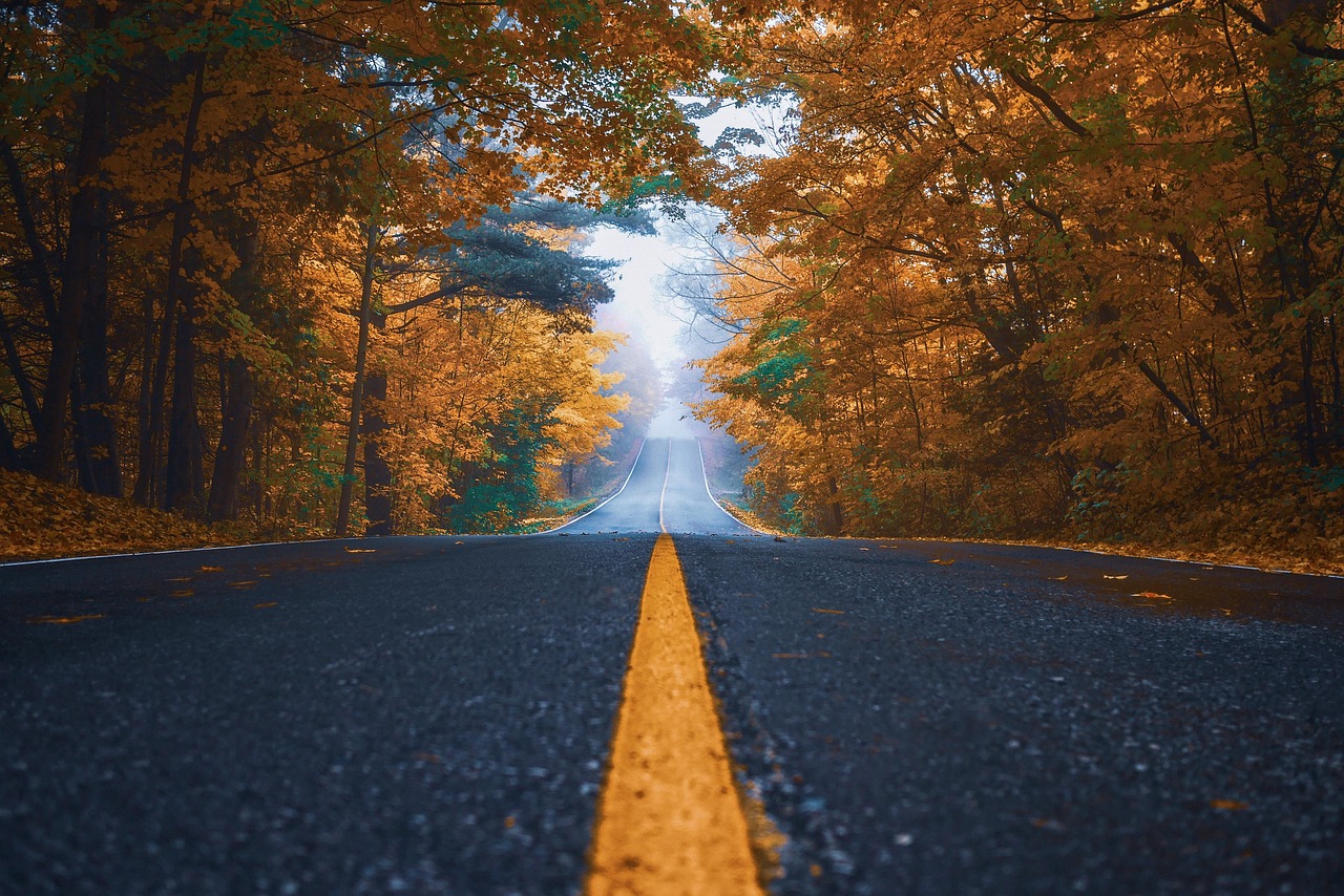 秋季养生之道，如何顺应自然，保持健康